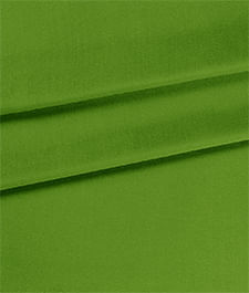 IMAGE_T