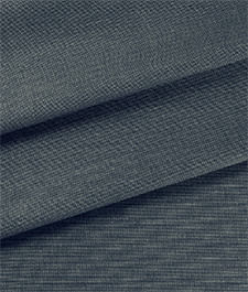 IMAGE_T