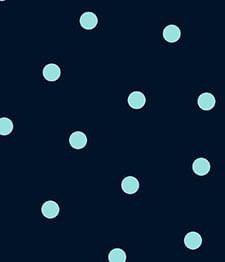 IMAGE_T