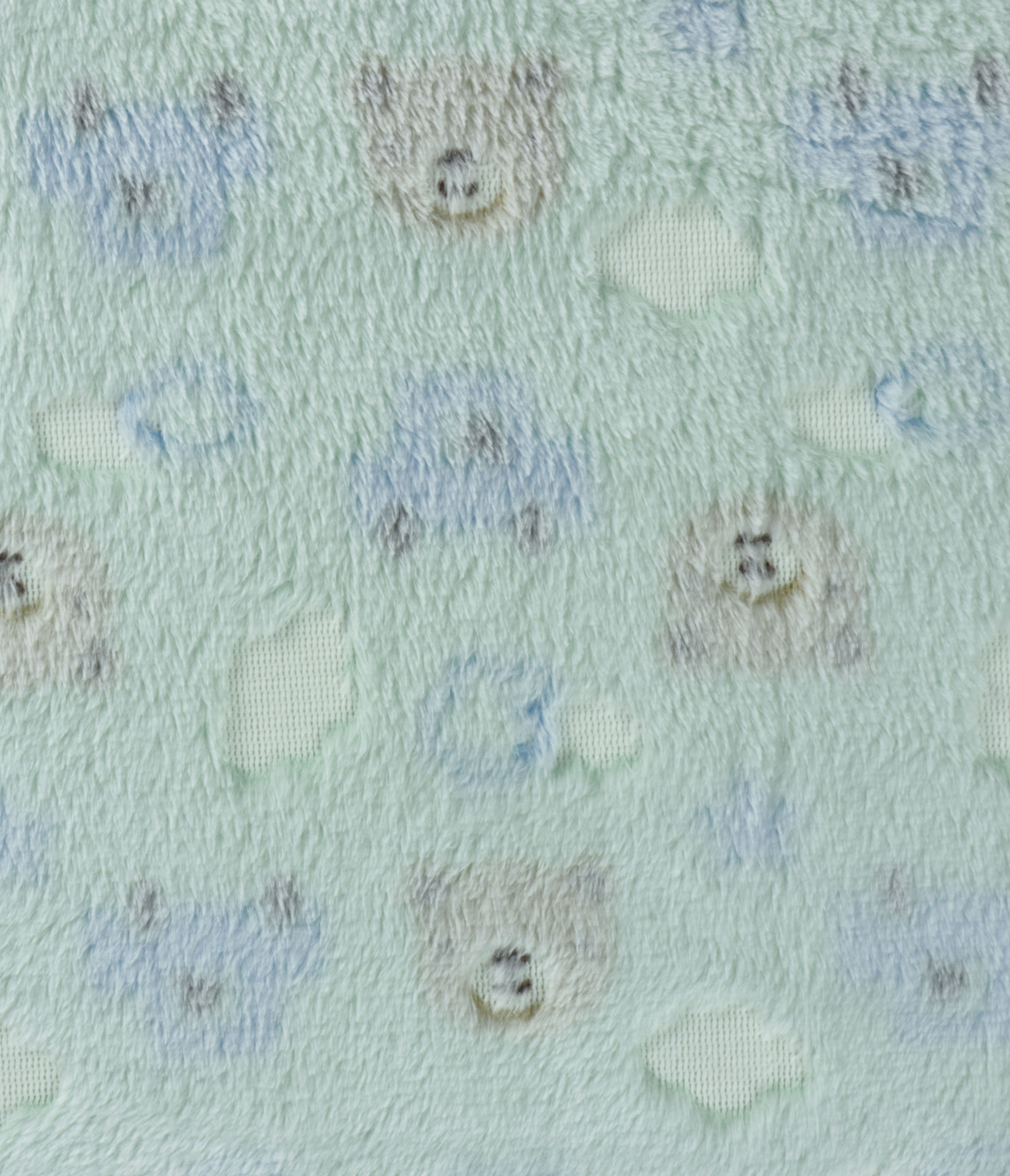 IMAGE_T
