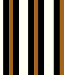 IMAGE_T