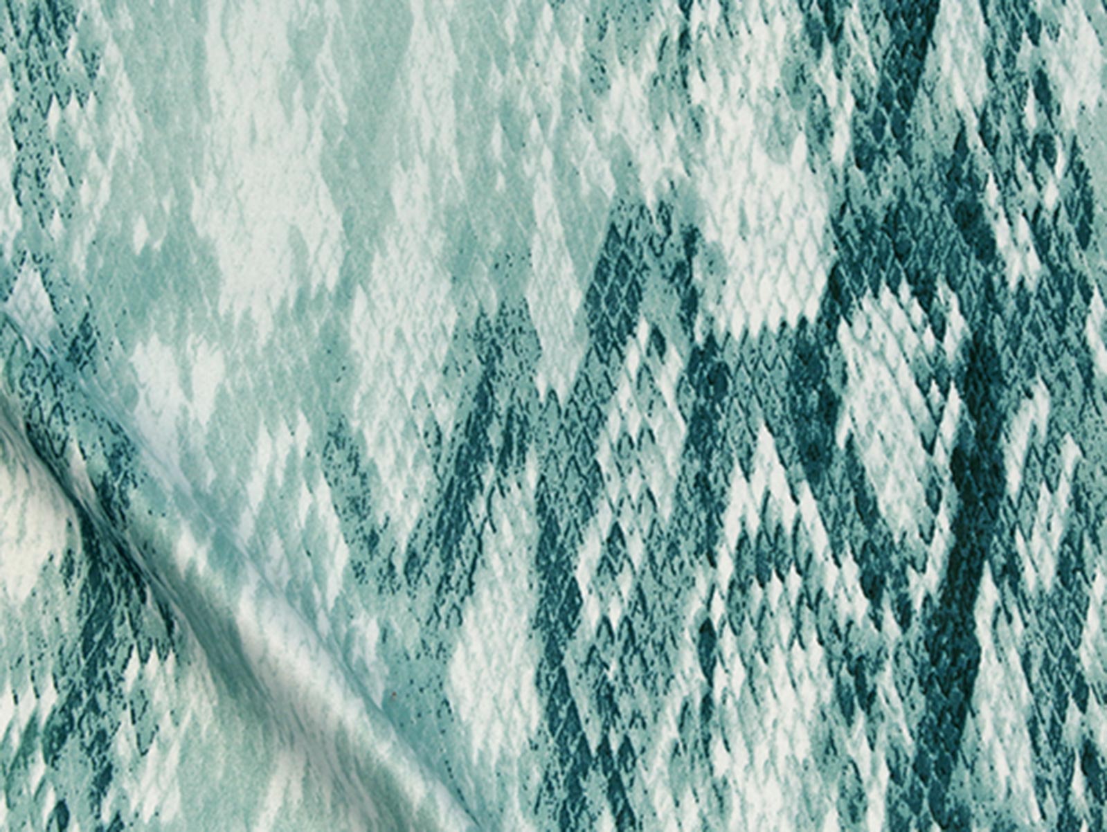 IMAGE_L