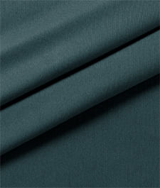 IMAGE_T