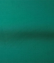 IMAGE_T