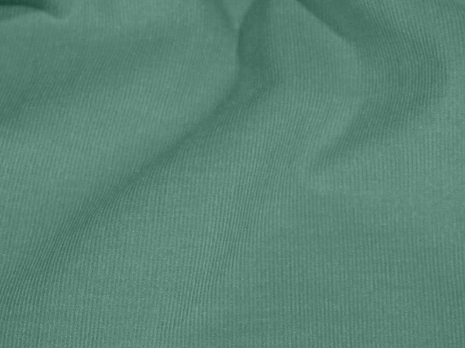 IMAGE_L