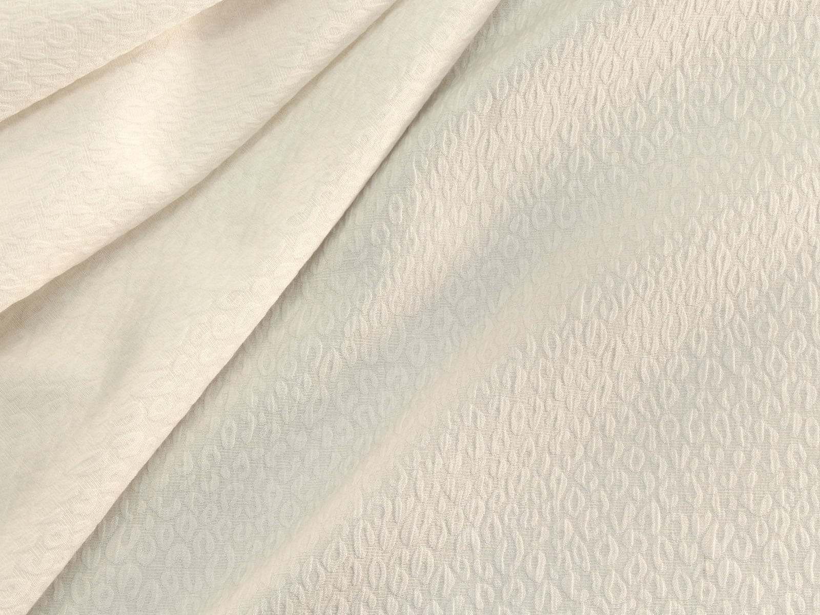 IMAGE_L