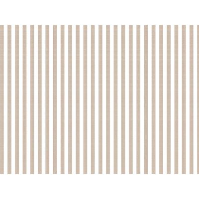 IMAGE_L