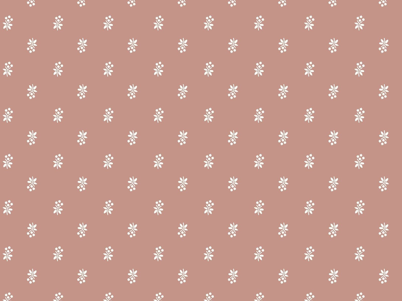 IMAGE_L
