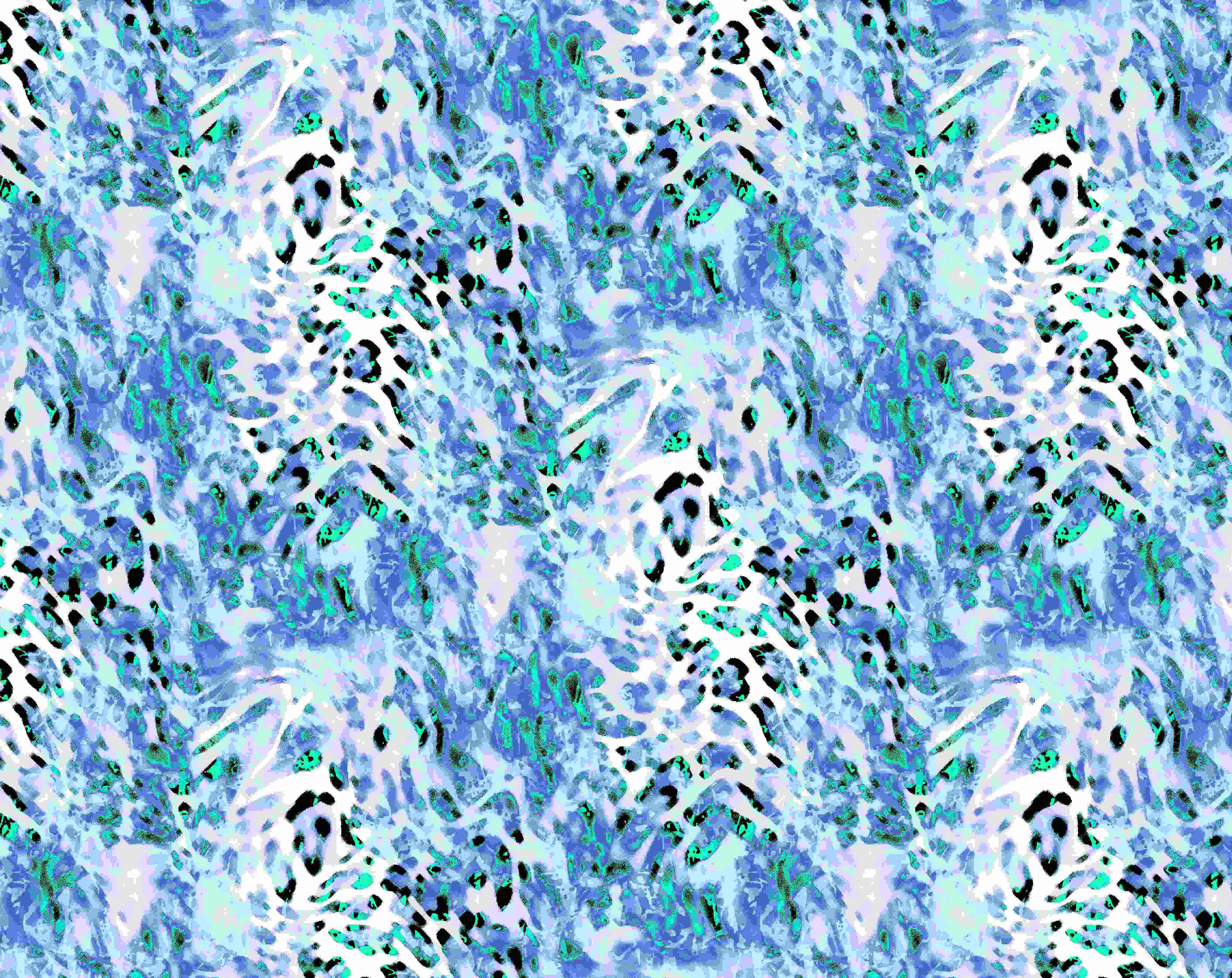 IMAGE_L