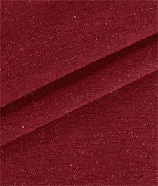 IMAGE_T