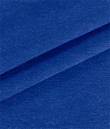IMAGE_T