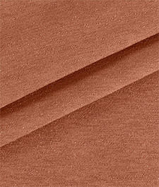 IMAGE_T