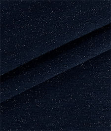 IMAGE_T