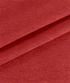 IMAGE_T