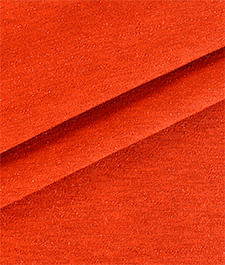 IMAGE_T
