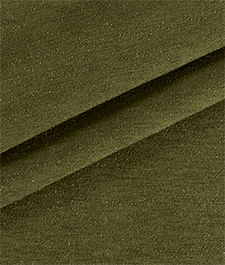 IMAGE_T