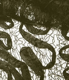 IMAGE_T