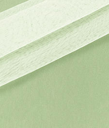 IMAGE_T