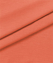 IMAGE_T