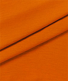 IMAGE_T