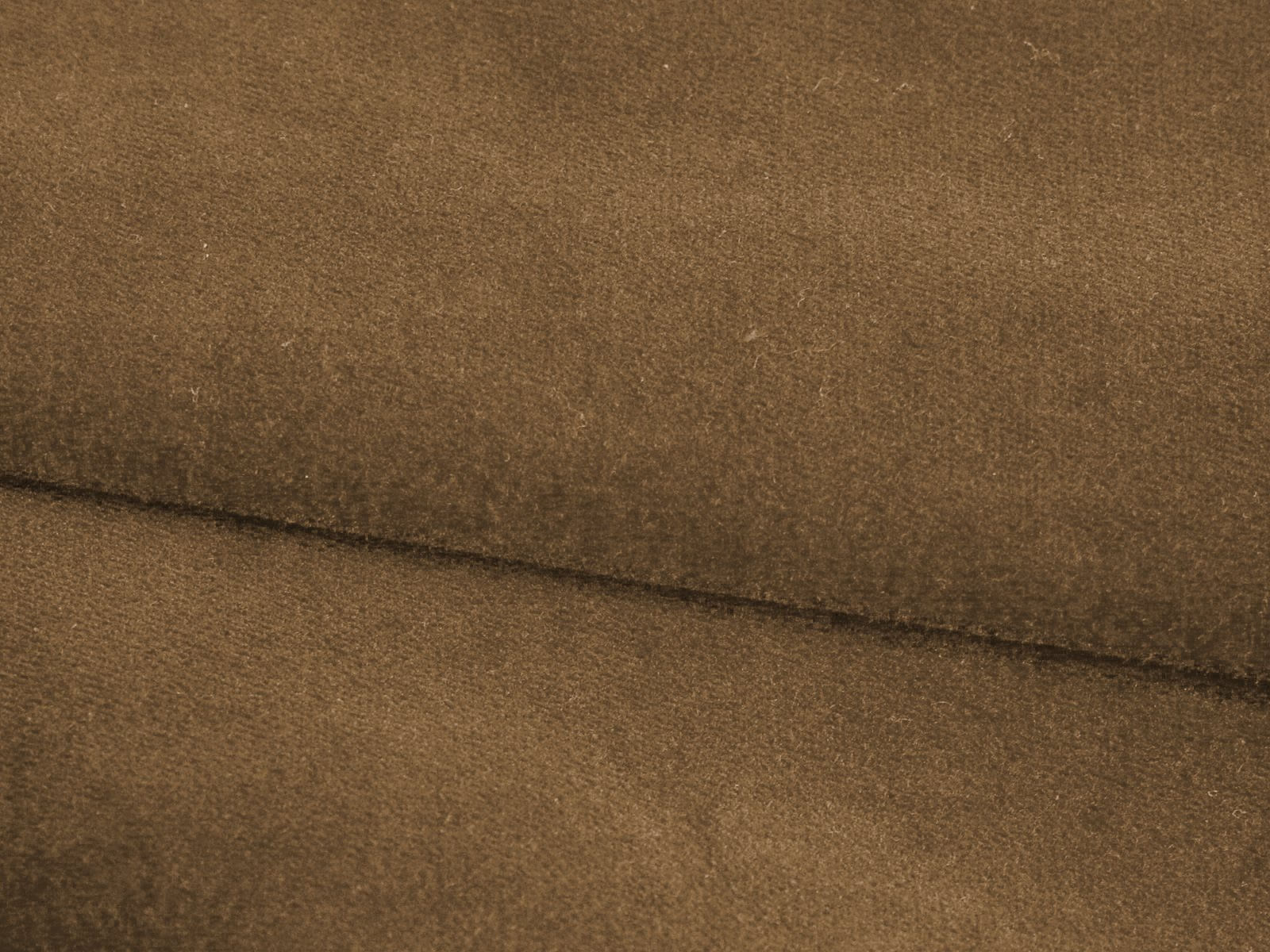 IMAGE_L