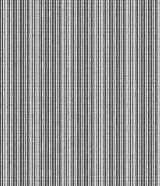 IMAGE_T