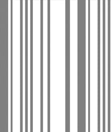IMAGE_T