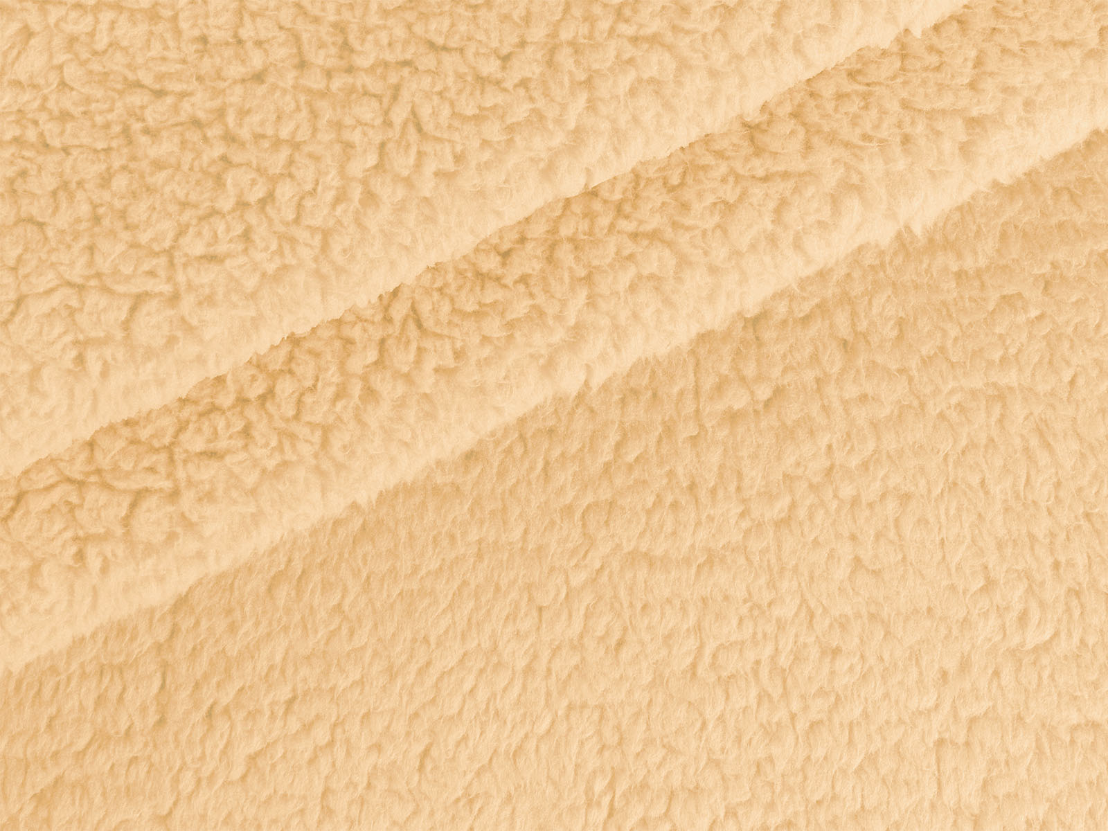 IMAGE_L