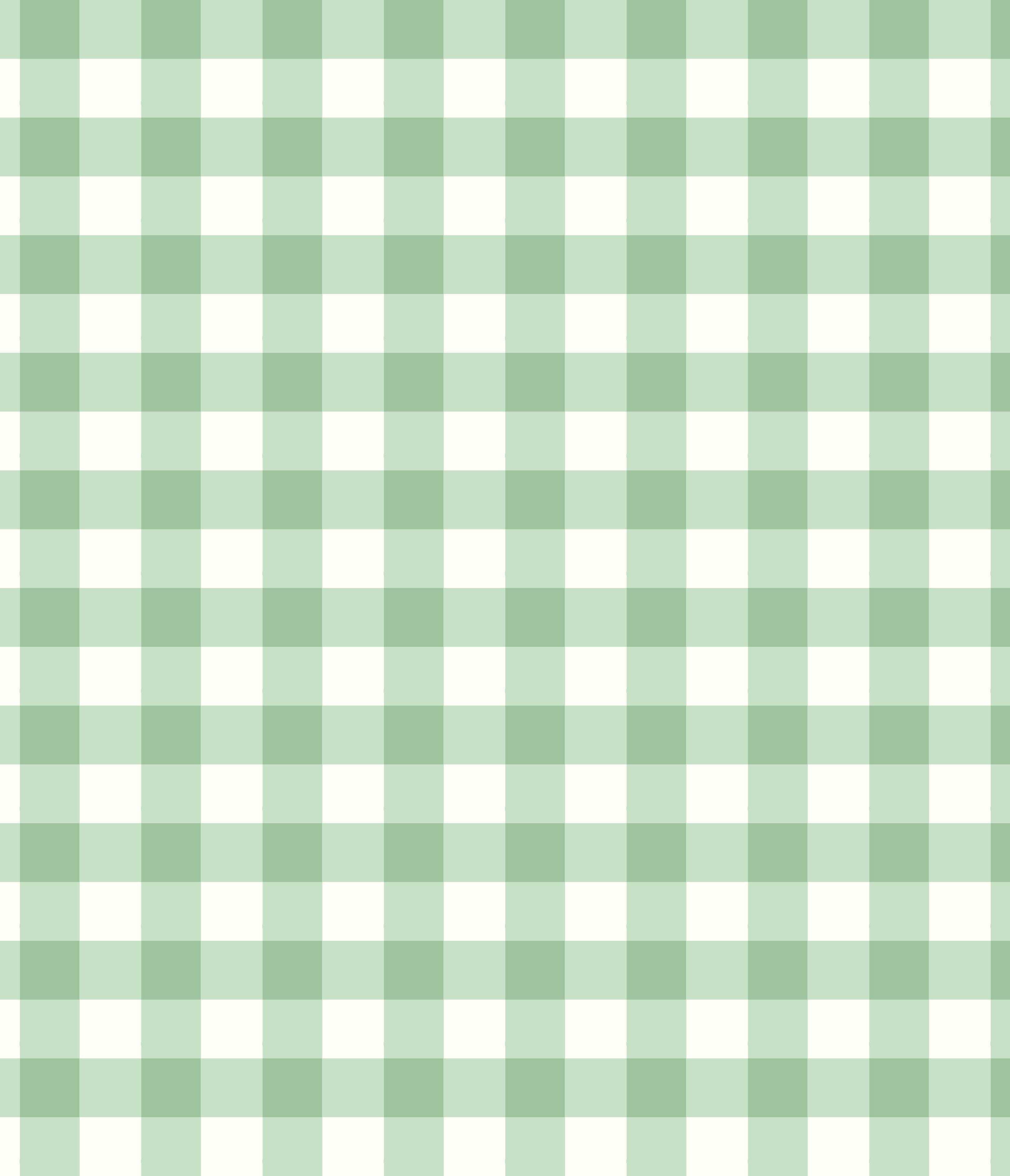 IMAGE_T