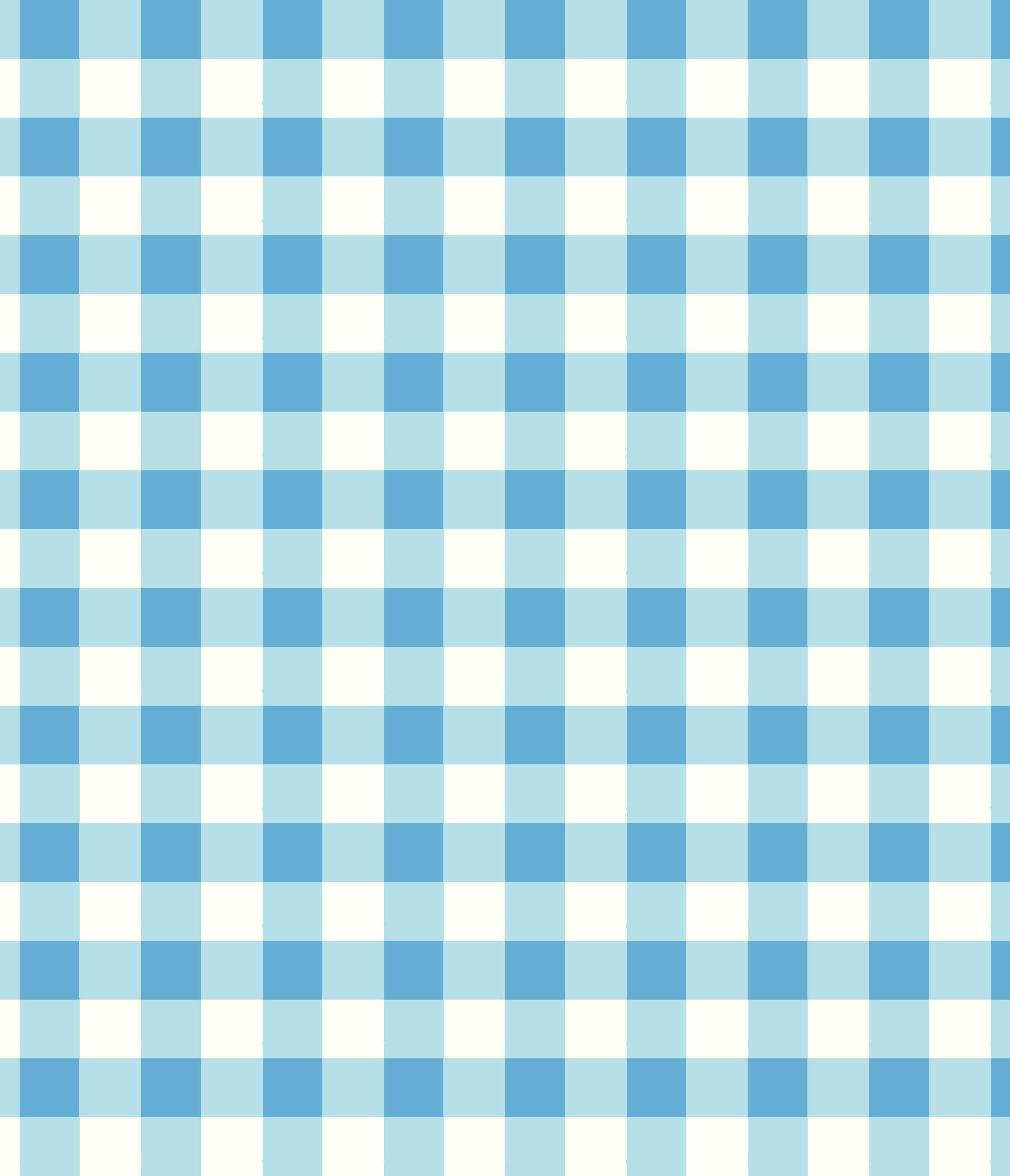IMAGE_T