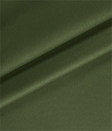 IMAGE_T