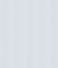 IMAGE_T