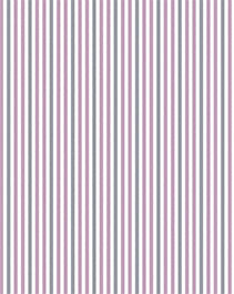 IMAGE_T