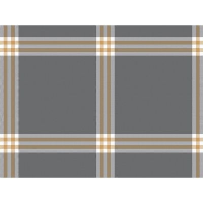 IMAGE_L