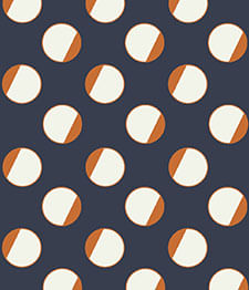 IMAGE_T