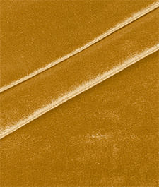 IMAGE_T