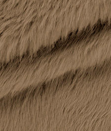 IMAGE_T