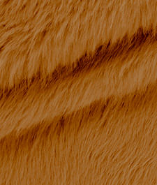 IMAGE_T