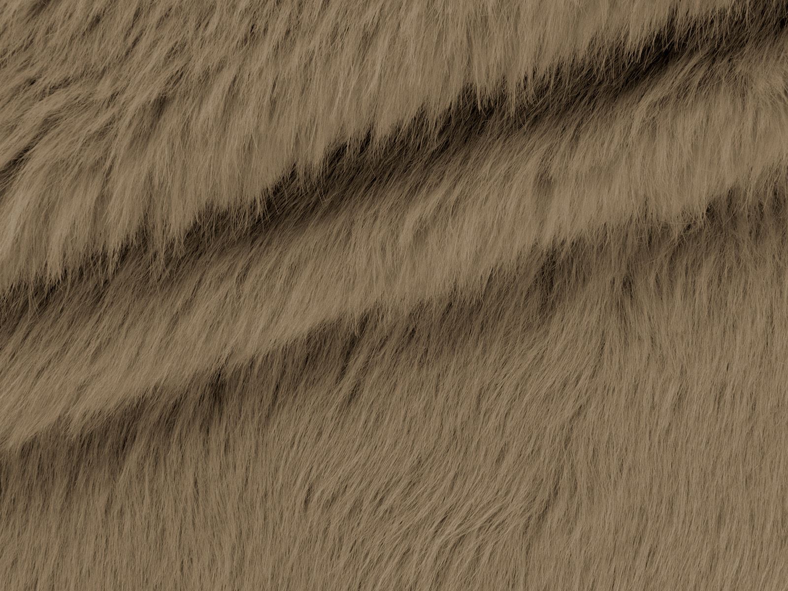 IMAGE_L