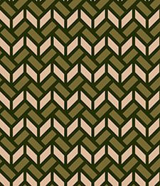 IMAGE_T
