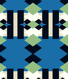 IMAGE_T