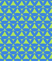 IMAGE_T