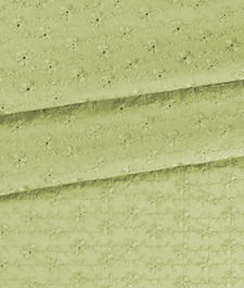 IMAGE_T