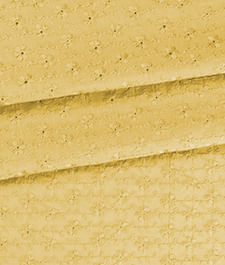 IMAGE_T