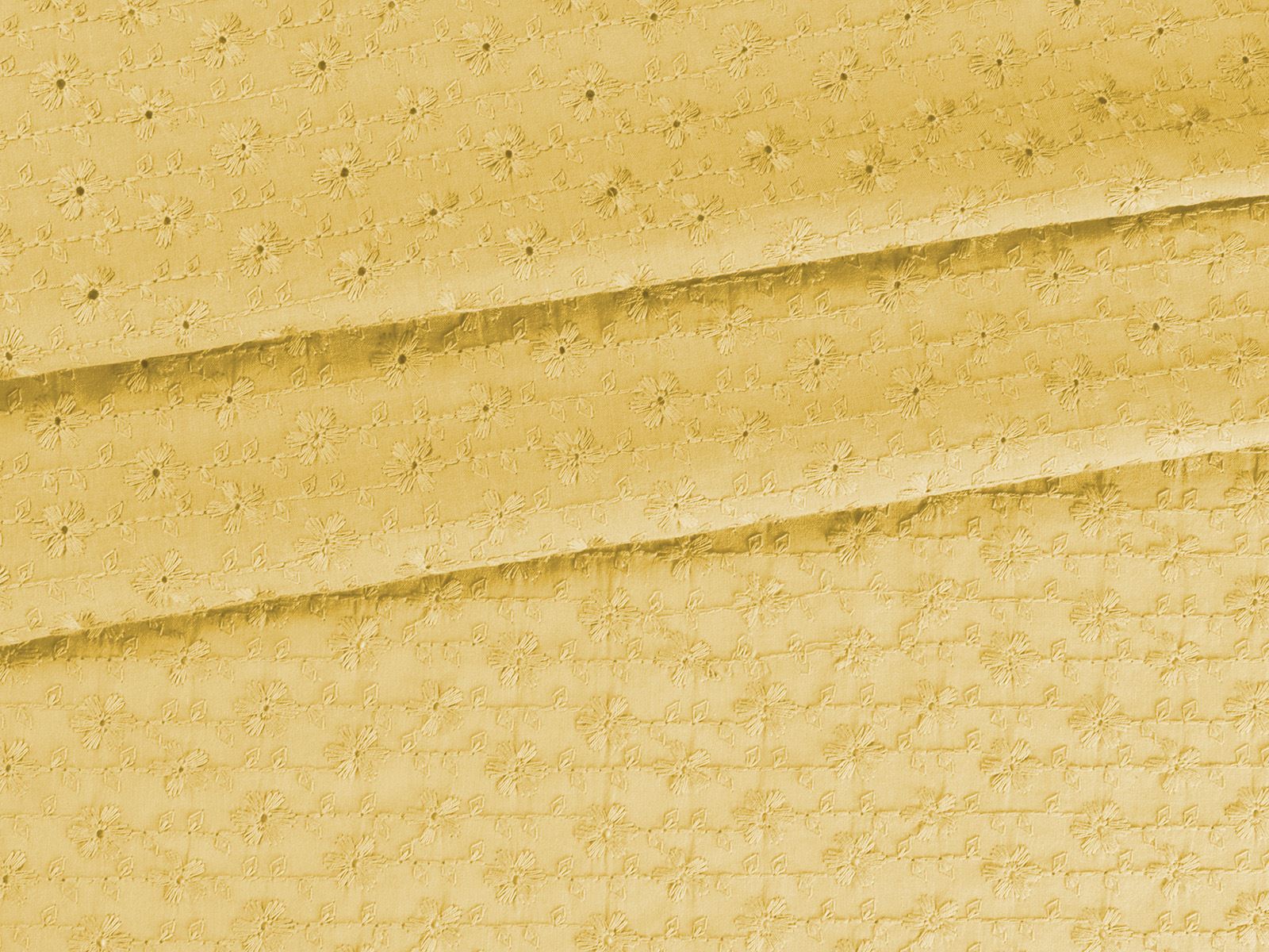 IMAGE_L