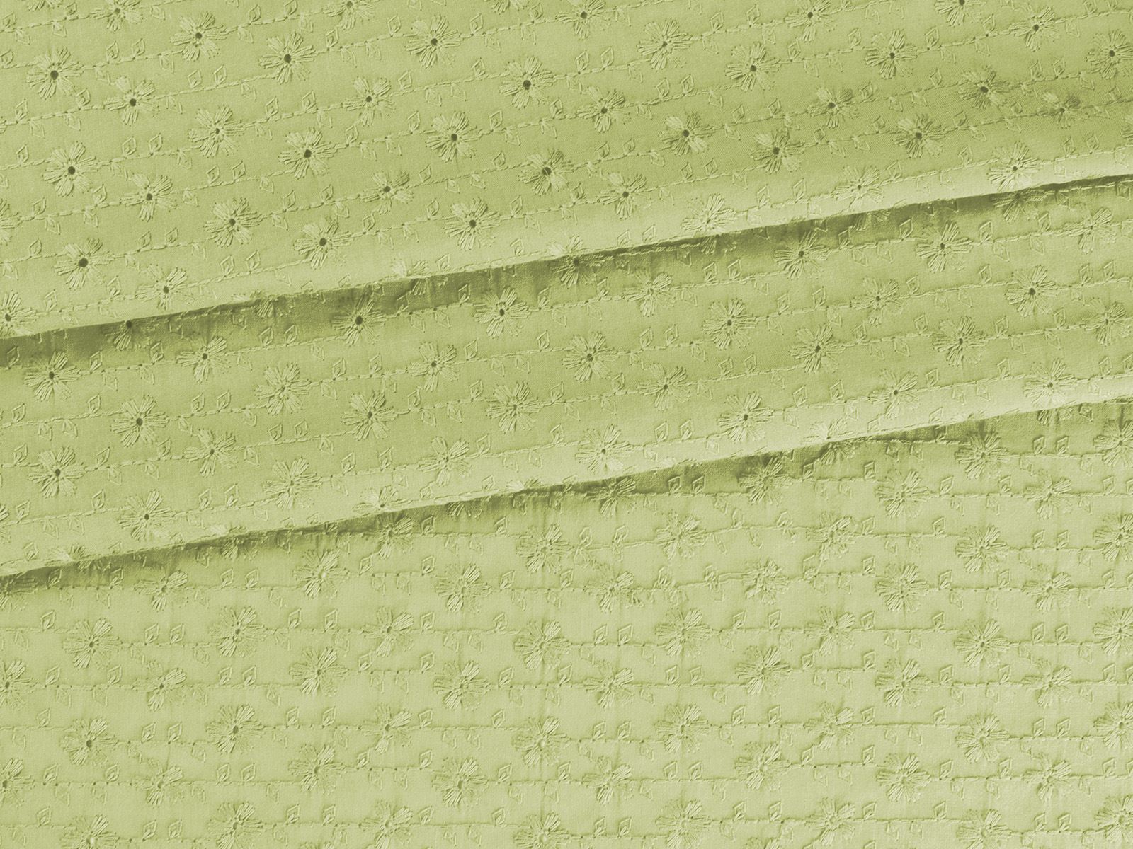 IMAGE_L