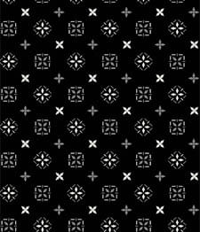 IMAGE_T