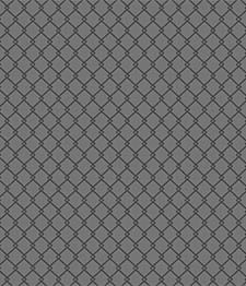 IMAGE_T