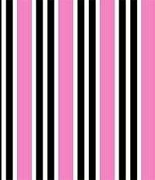 IMAGE_T