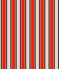 IMAGE_T